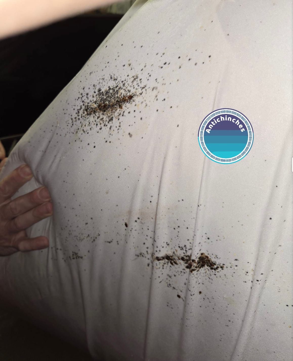 Técnico con mascarilla y guantes desinfecta una habitación, usando un equipo con luces y señalización de precaución.